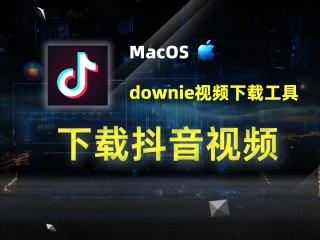 抖音.免费下载app,抖音免费下载安装官方最新版