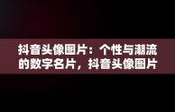 抖音头像图片：个性与潮流的数字名片，抖音头像图片搞笑图片 