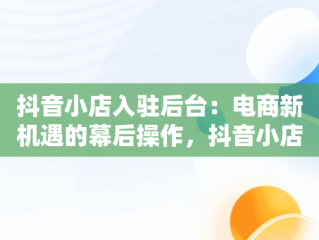 抖音小店入驻后台：电商新机遇的幕后操作，抖音小店入驻成功后怎么操作 