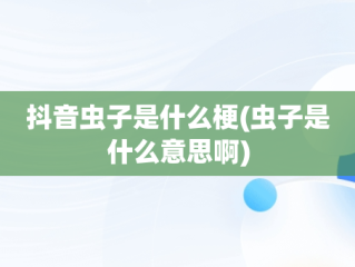 抖音虫子是什么梗(虫子是什么意思啊)