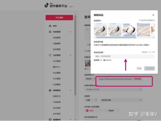 包含国外抖音网页版入口的词条