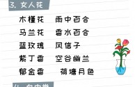 2021抖音火爆昵称50岁,抖音名称.昵称女50岁