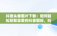 抖音头像图片下载：如何轻松获取喜爱的抖音图标，抖音头像图片下载 男女 