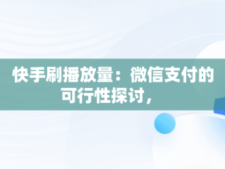 快手刷播放量：微信支付的可行性探讨， 
