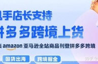 拼多多做跨境电商吗,跨境电商有哪些平台可以做拼多多