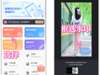 抖音去水印(抖音去水印视频解析在线提取)