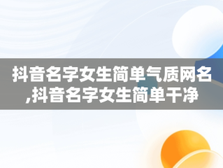 抖音名字女生简单气质网名,抖音名字女生简单干净