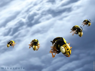 95爱播改名后叫什么,95ai