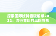 探索国际版抖音破解版2022：流行背后的风险与机遇，国际版抖音破解版下载 