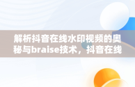 解析抖音在线水印视频的奥秘与braise技术，抖音在线水印视频解析免费 