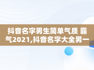 抖音名字男生简单气质 霸气2021,抖音名字大全男一个字