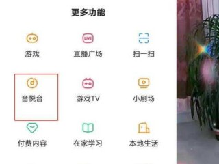 快手网页版能看直播吗(快手电视版可以看直播吗)