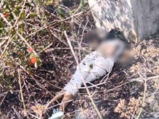 美女主播遇害(美女主播遇害事件)