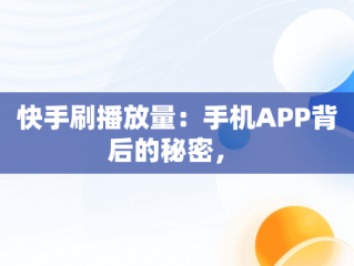 快手刷播放量：手机APP背后的秘密， 