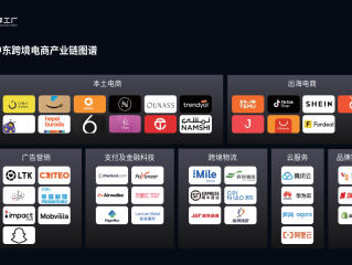 跨境电商多平台运营,跨境电商独立站运营