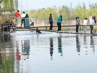 网红桥断裂多人落水,网红桥断裂造成的伤亡的新闻
