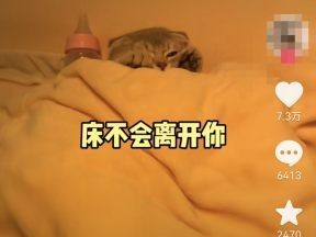 发了抖音别人看不到,发了个抖音别人看不到