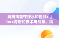 解析抖音在线水印视频：jlwz背后的技术与创意，抖音在线水印视频解析 代码狗 