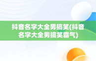 抖音名字大全男搞笑(抖音名字大全男搞笑霸气)