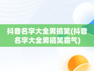 抖音名字大全男搞笑(抖音名字大全男搞笑霸气)