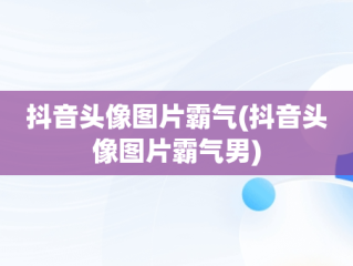 抖音头像图片霸气(抖音头像图片霸气男)