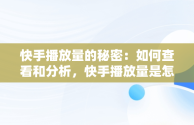 快手播放量的秘密：如何查看和分析，快手播放量是怎么看的啊 