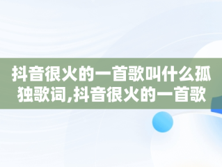 抖音很火的一首歌叫什么孤独歌词,抖音很火的一首歌叫什么孤独
