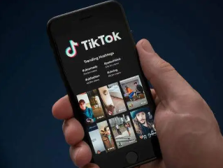在tiktok可以挂的跨境电商平台有哪些,tiktok跨境电商真的赚钱吗