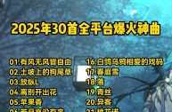 最火的歌2025(最火的歌2025年)