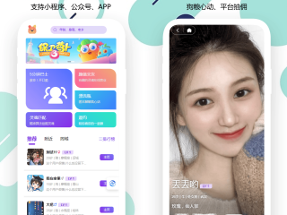 最火的交友app排行榜前十名(2021年最火的交友软件有哪些)