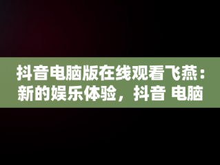 抖音电脑版在线观看飞燕：新的娱乐体验，抖音 电脑上看 