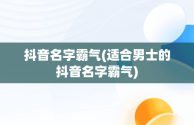 抖音名字霸气(适合男士的抖音名字霸气)