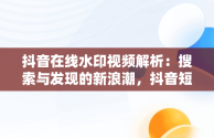 抖音在线水印视频解析：搜索与发现的新浪潮，抖音短视频在线水印解析 