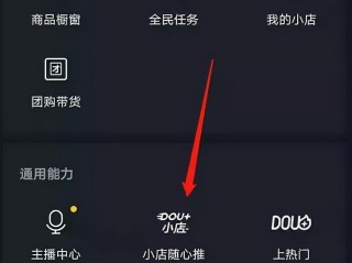 手机抖音网页版入口苹果,手机抖音网页版入口