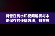 抖音在线水印视频解析与本地保存的便捷方法，抖音在线水印视频解析网站 