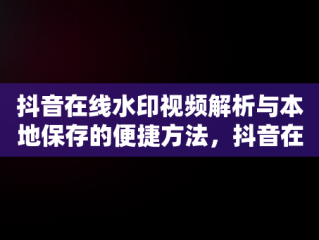 抖音在线水印视频解析与本地保存的便捷方法，抖音在线水印视频解析网站 