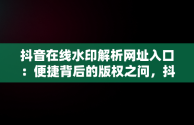 抖音在线水印解析网址入口：便捷背后的版权之问，抖音短视频水印解析在线 