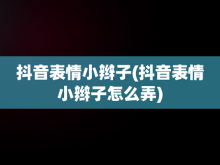 抖音表情小辫子(抖音表情小辫子怎么弄)