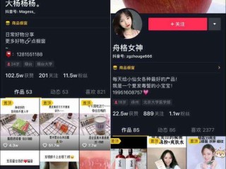 抖音短视频带货怎么做(抖音短视频带货怎么做上去的?)