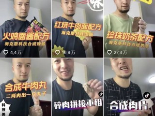 快手辛吉飞(辛有志与快手)