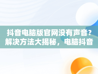 抖音电脑版官网没有声音？解决方法大揭秘，电脑抖音官网怎么打不开 