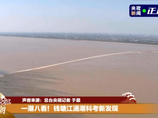 直播:钱塘江潮,直播钱塘江潮水打野