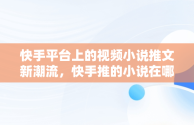 快手平台上的视频小说推文新潮流，快手推的小说在哪里查 