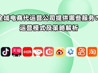 跨境电商代运营和自运营(跨境电商代运营和自运营哪个好)