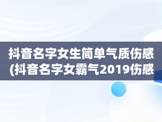 抖音名字女生简单气质伤感(抖音名字女霸气2019伤感)