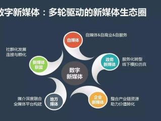 短视频运营中的价值标签有哪些(短视频运营中的价值标签有哪些类型)