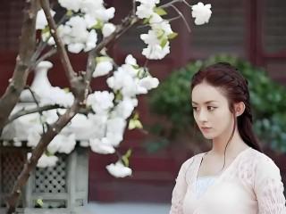 最火的电视剧女演员(最火的十大电视剧演员)