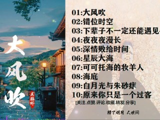 网络最火的歌曲(2025网络最火的歌曲)