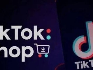 tiktok跨境电商(tiktok跨境电商运营真的假的)