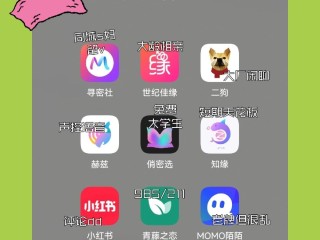 什么交友软件比较火,哪些交友软件最火